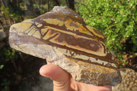 Polished On One Side Nguni Jasper Specimens x 2 From Prieska, South Africa - Toprock Gemstones and Minerals 