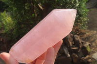 Polished Double Terminated Rose Quartz Points x 3 From Madagascar - Toprock Gemstones and Minerals 