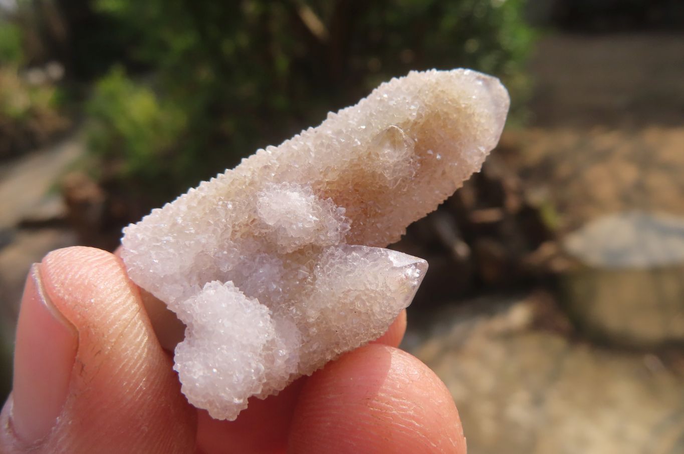 Natural Ametrine Spirit Quartz Clusters x 35 From Boekenhouthoek, South Africa - Toprock Gemstones and Minerals 
