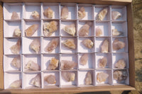 Natural Ametrine Spirit Quartz Clusters x 35 From Boekenhouthoek, South Africa