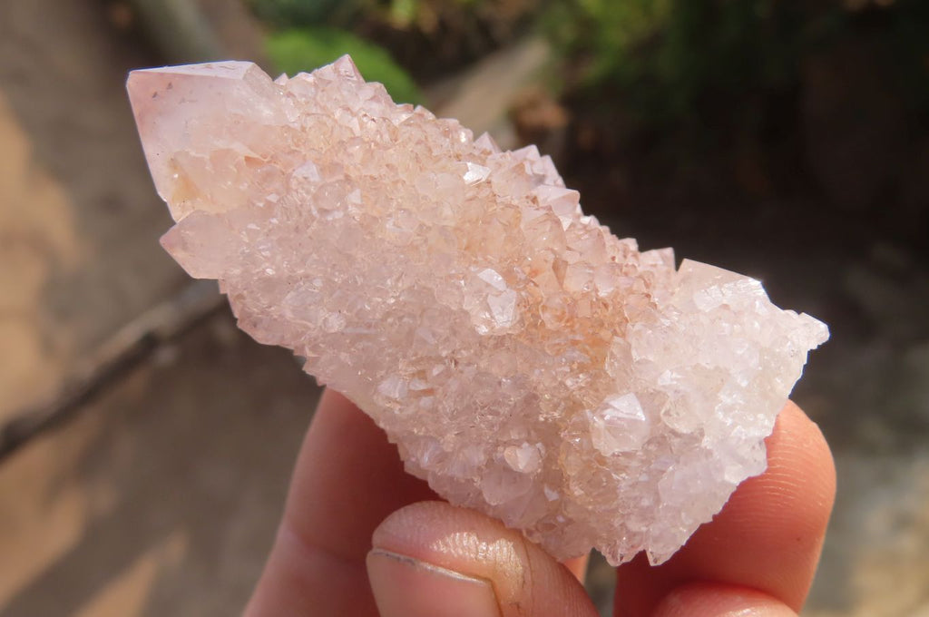 Natural Ametrine Spirit Quartz Clusters x 35 From Boekenhouthoek, South Africa - Toprock Gemstones and Minerals 