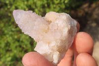 Natural Ametrine Spirit Quartz Clusters x 35 From Boekenhouthoek, South Africa