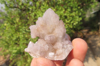 Natural Ametrine Spirit Quartz Clusters x 35 From Boekenhouthoek, South Africa
