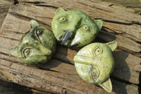 Polished Leopard Stone Cat Face Carvings x 3 From Zimbabwe