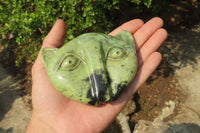 Polished Leopard Stone Cat Face Carvings x 3 From Zimbabwe