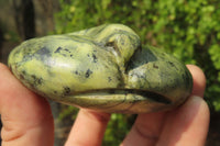 Polished Leopard Stone Cat Face Carvings x 3 From Zimbabwe
