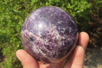 Polished Lepidolite with Pink Rubellite Spheres x 2 From Ambatondrazaka, Madagascar - Toprock Gemstones and Minerals 