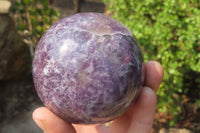 Polished Lepidolite with Pink Rubellite Spheres x 2 From Ambatondrazaka, Madagascar - Toprock Gemstones and Minerals 