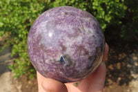 Polished Lepidolite with Pink Rubellite Spheres x 2 From Ambatondrazaka, Madagascar - Toprock Gemstones and Minerals 
