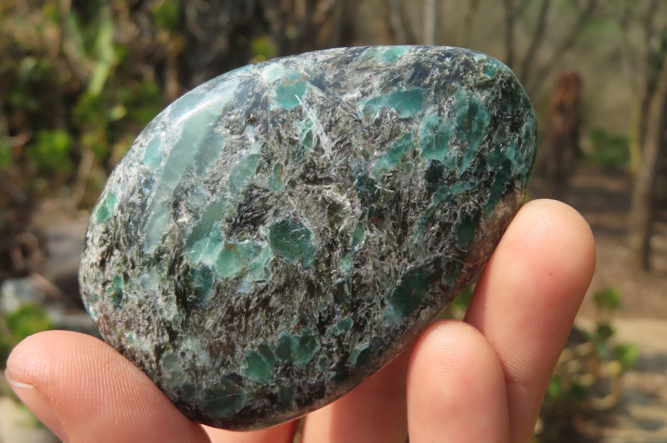 Polished Rare Emerald Mica In Matrix Free Forms x 6 From Mutoko, Zimbabwe - Toprock Gemstones and Minerals 