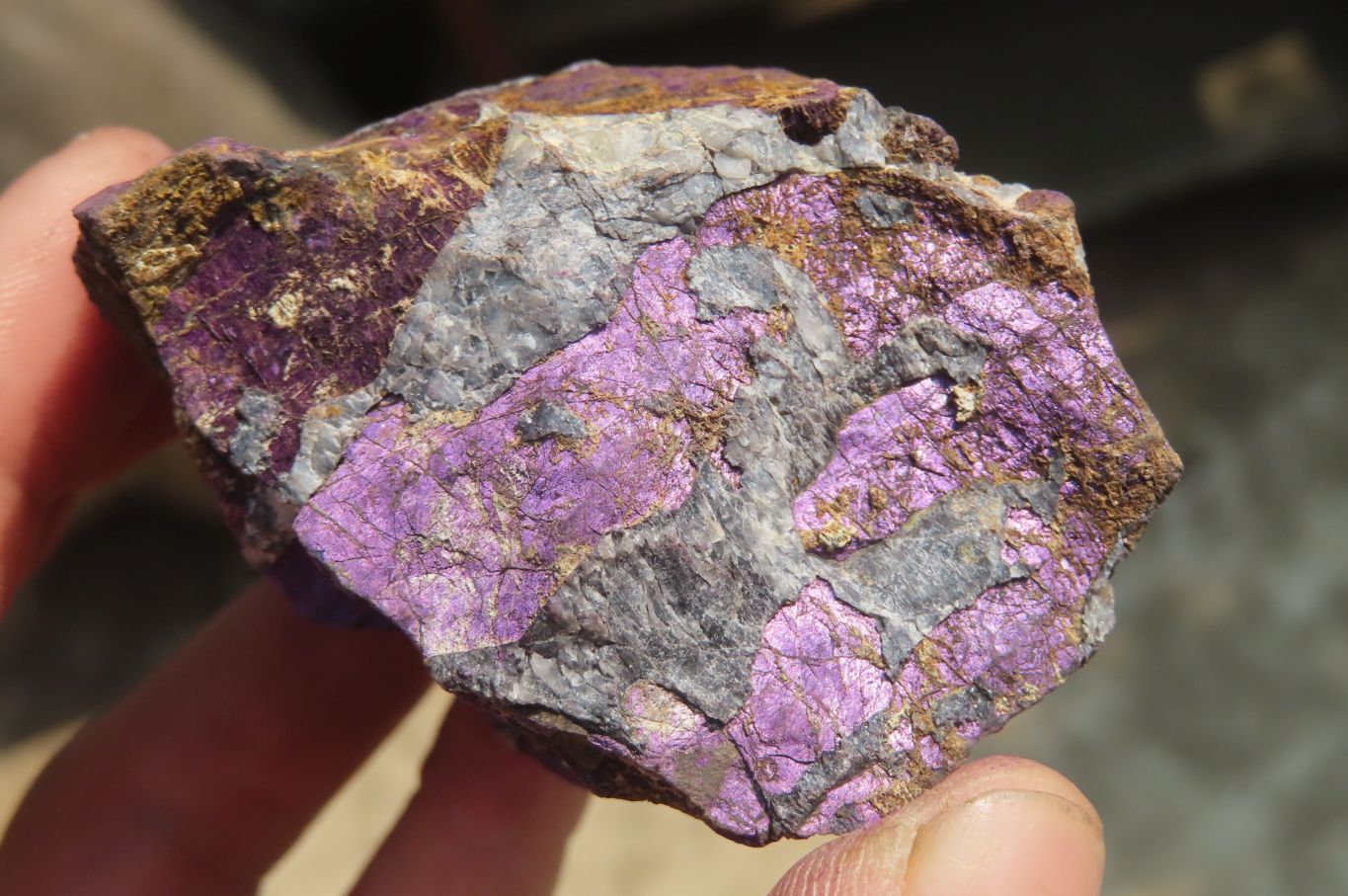 Natural Metallic Purpurite Cobbed Specimens x 5 From Erongo, Namibia - Toprock Gemstones and Minerals 
