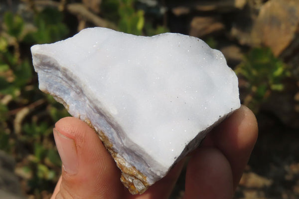 Natural Crystalline Blue Lace Agate Plates x 12 From Namibia - Toprock Gemstones and Minerals 