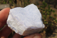 Natural Crystalline Blue Lace Agate Plates x 12 From Namibia - Toprock Gemstones and Minerals 