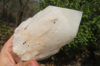 Natural White Quartz Crystal Specimens x 3 From Madagascar - Toprock Gemstones and Minerals 