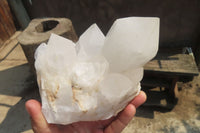 Natural White Quartz Crystal Specimens x 3 From Madagascar - Toprock Gemstones and Minerals 
