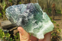 Natural Watermelon Fluorite Specimens x 2 From Uis, Namibia - Toprock Gemstones and Minerals 