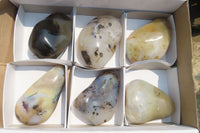 Polished on One Side Dendritic Agate Free Forms x 6 From Madagascar - Toprock Gemstones and Minerals 