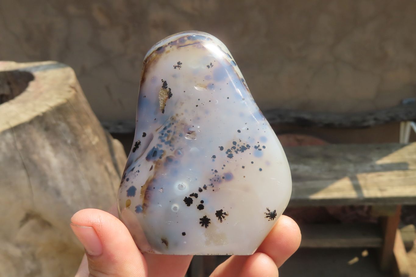 Polished on One Side Dendritic Agate Free Forms x 6 From Madagascar - Toprock Gemstones and Minerals 