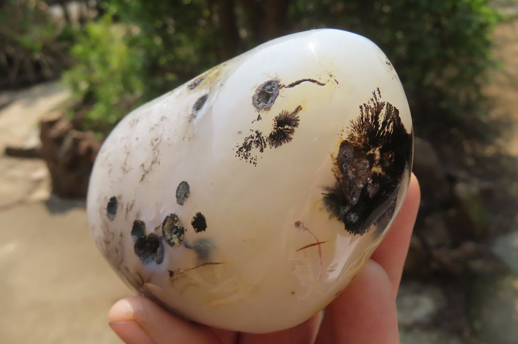 Polished on One Side Dendritic Agate Free Forms x 6 From Madagascar - Toprock Gemstones and Minerals 