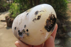 Polished on One Side Dendritic Agate Free Forms x 6 From Madagascar - Toprock Gemstones and Minerals 