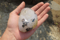 Polished on One Side Dendritic Agate Free Forms x 6 From Madagascar - Toprock Gemstones and Minerals 
