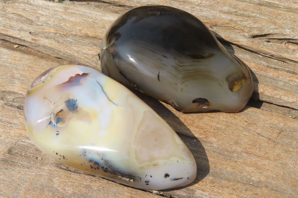 Polished on One Side Dendritic Agate Free Forms x 6 From Madagascar - Toprock Gemstones and Minerals 