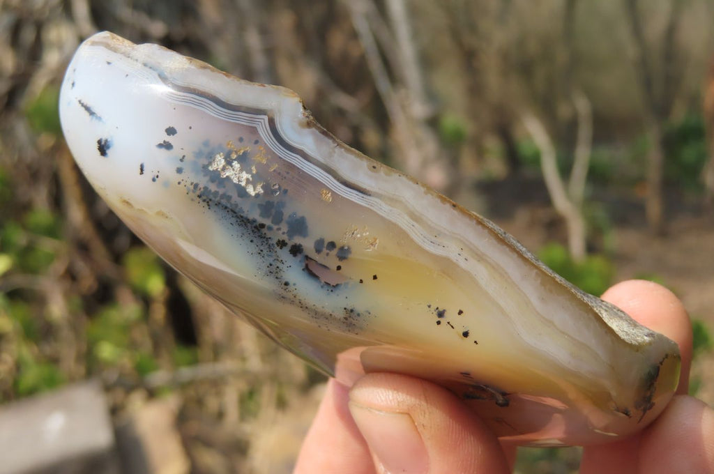 Polished on One Side Dendritic Agate Free Forms x 6 From Madagascar - Toprock Gemstones and Minerals 