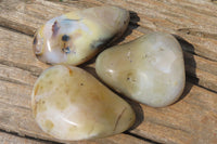 Polished on One Side Dendritic Agate Free Forms x 6 From Madagascar - Toprock Gemstones and Minerals 