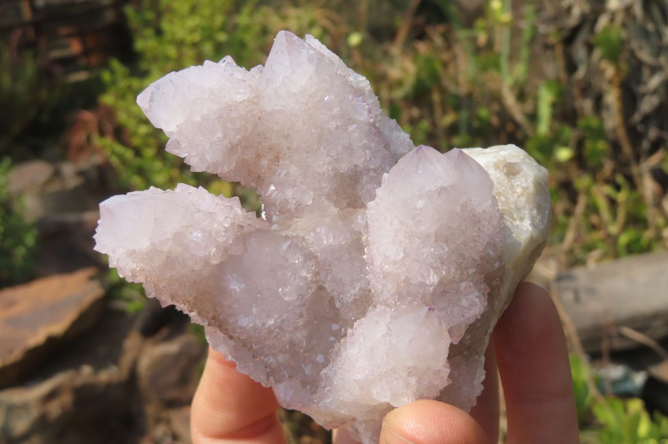 Natural Lilac Amethyst Spirit Quartz Clusters x 4 From Boekenhouthoek, South Africa - Toprock Gemstones and Minerals 