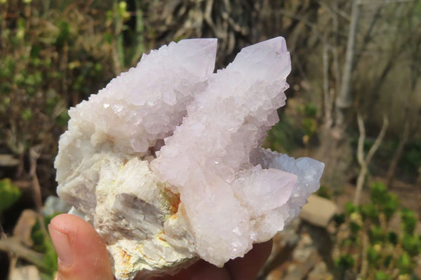 Natural Lilac Amethyst Spirit Quartz Clusters x 4 From Boekenhouthoek, South Africa - Toprock Gemstones and Minerals 