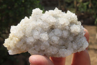 Natural Drusy Quartz Coated Calcite Pseudomorph Specimens x 6 From Alberts Mountain, Lesotho - Toprock Gemstones and Minerals 