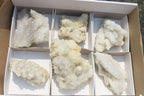 Natural Drusy Quartz Coated Calcite Pseudomorph Specimens x 6 From Alberts Mountain, Lesotho - Toprock Gemstones and Minerals 