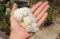 Natural Drusy Quartz Coated Calcite Pseudomorph Specimens x 6 From Alberts Mountain, Lesotho - Toprock Gemstones and Minerals 