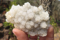 Natural Drusy Quartz Coated Calcite Pseudomorph Specimens x 6 From Alberts Mountain, Lesotho - Toprock Gemstones and Minerals 