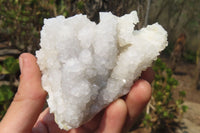 Natural Drusy Quartz Coated Calcite Pseudomorph Specimens x 6 From Alberts Mountain, Lesotho - Toprock Gemstones and Minerals 
