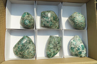 Polished Rare Emerald Mica In Matrix Free Forms x 6 From Mutoko, Zimbabwe - Toprock Gemstones and Minerals 