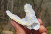Natural Etched Blue Chalcedony Specimens x 35 From Nsanje, Malawi - Toprock Gemstones and Minerals 