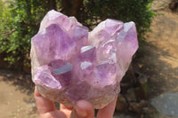 Natural Jacaranda Amethyst Quartz Cluster x 2 from Mumbwa, Zambia - Toprock Gemstones and Minerals 