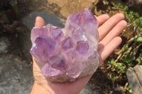 Natural Jacaranda Amethyst Quartz Cluster x 2 from Mumbwa, Zambia - Toprock Gemstones and Minerals 