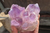 Natural Jacaranda Amethyst Quartz Cluster x 2 from Mumbwa, Zambia - Toprock Gemstones and Minerals 