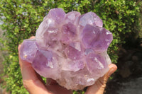 Natural Jacaranda Amethyst Quartz Cluster x 2 from Mumbwa, Zambia - Toprock Gemstones and Minerals 