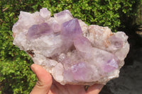 Natural Jacaranda Amethyst Quartz Cluster x 2 from Mumbwa, Zambia - Toprock Gemstones and Minerals 