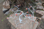 Hand Made Carnelian Wire Wrap Tree x 1 From KwaZulu, Natal, South Africa - Toprock Gemstones and Minerals 
