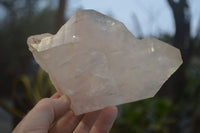 Natural Quartz Crystals x 3 From Mpika, Zambia - Toprock Gemstones and Minerals 