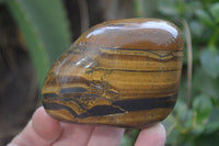Polished Tiger's Eye Free Forms x 5 From Prieska, South Africa
