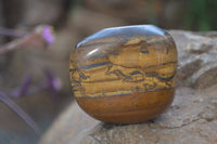 Polished Tiger's Eye Free Forms x 5 From Prieska, South Africa