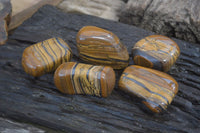 Polished Tiger's Eye Free Forms x 5 From Prieska, South Africa