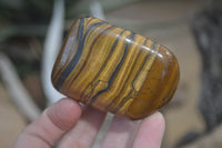 Polished Tiger's Eye Free Forms x 5 From Prieska, South Africa