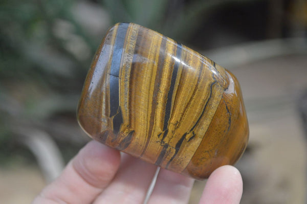 Polished Tiger's Eye Free Forms x 5 From Prieska, South Africa