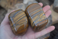 Polished Tiger's Eye Free Forms x 5 From Prieska, South Africa